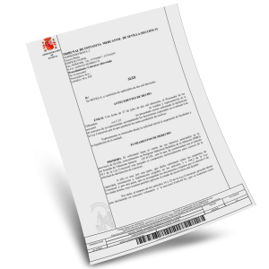 Sentencia/documento judicial